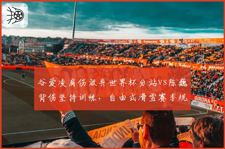 谷爱凌肩伤放弃世界杯分站vs陈巍背伤坚持训练，自由式滑雪赛季规划迥异