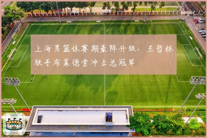 上海男篮休赛期豪阵升级,王哲林联手布莱德索冲击总冠军